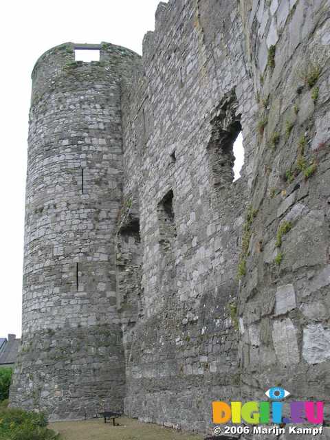 18986 Carlow Castle wall